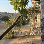 Messaria - * Schoinoussa