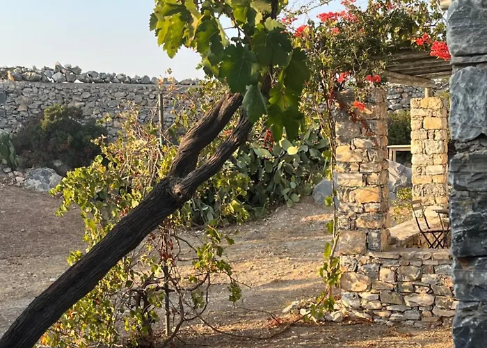 Messaria - * Schoinoussa